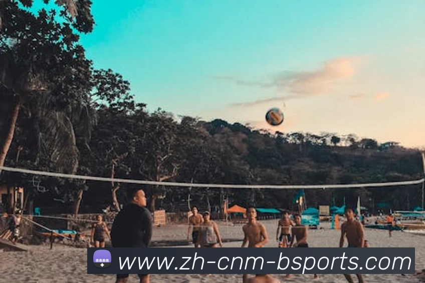 B体育APP 封面图